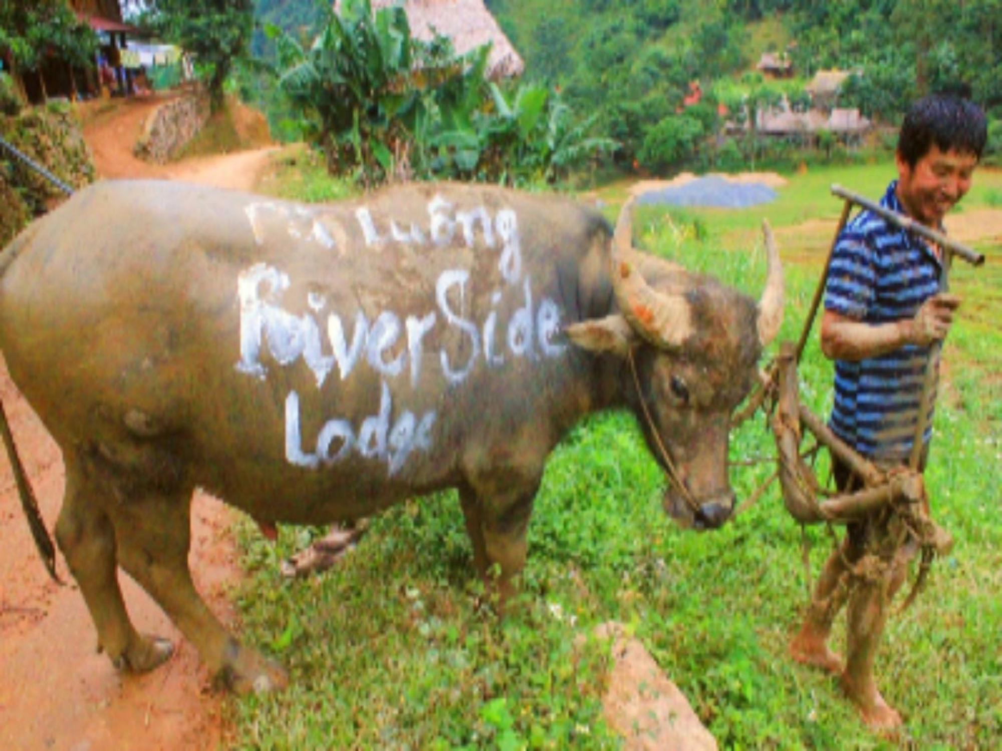 Pu Luong Riverside Lodge Thanh Hóa 外观 照片